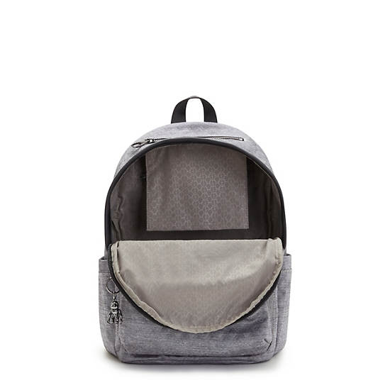 Kipling Delia Classic Rygsække Sølv | DK 1555EB